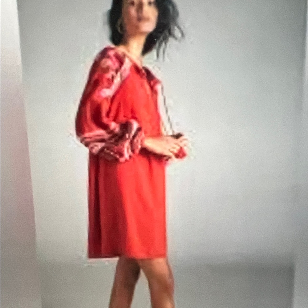 Seen Worn Kept Dress.